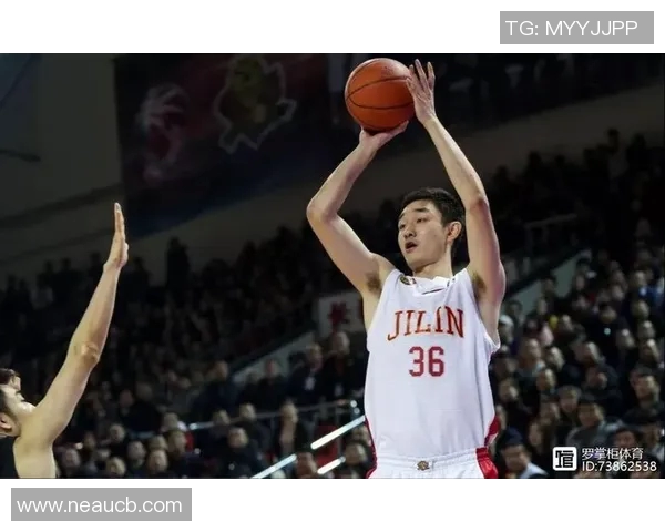 代怀博的成长之路与未来发展展望探讨