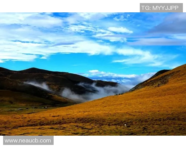 萨林杰的文学世界探秘：从孤独到反叛的心灵旅程